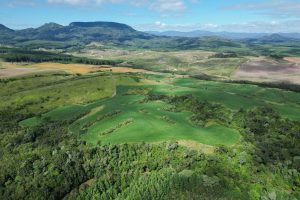 WhatsApp Image 2026-03-06 at 15.11.49 (4)