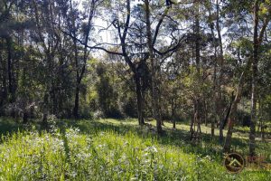 ce27c29d-d489-4f1c-b34c-cb4ecda8abc0