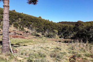 d3e4bfee-a3cb-4ba7-89e9-ca7759d114d0