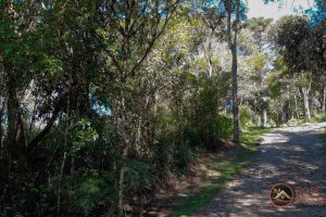 df1ae56e-7c8a-4f68-b26a-822c3284a2a1