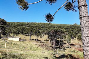 fa093ec2-6ae2-4406-9360-7f03071bc845