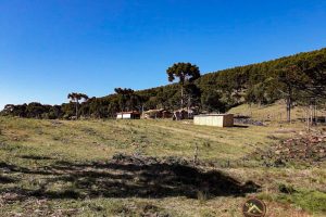 fb576693-6c83-492d-bd56-4e86b994d091