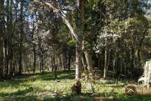 fe84fcc2-a379-4282-8065-ed13f1368e98